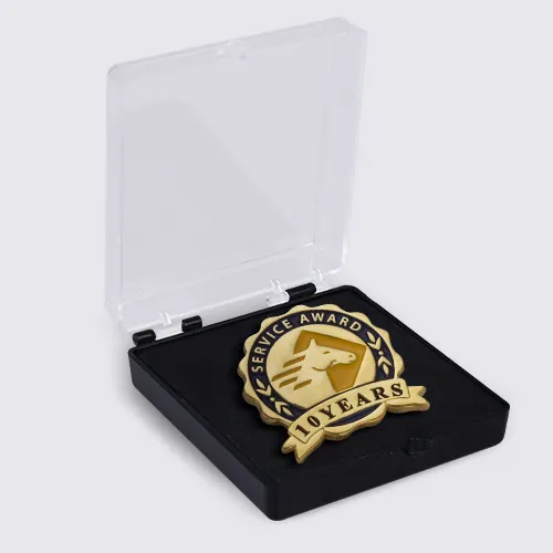 pin with Plastic Box